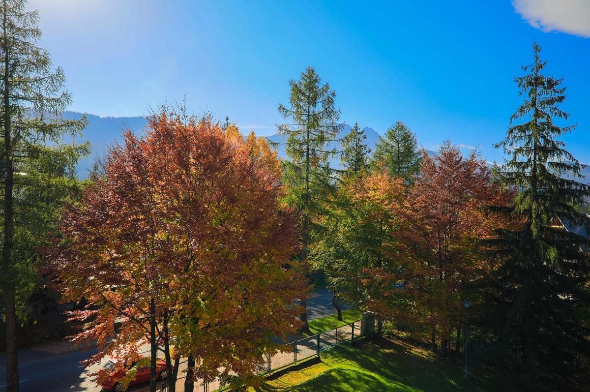 Arnika Gasthof Zakopane
